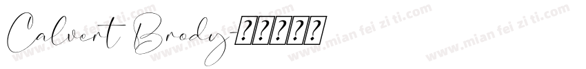 Calvert Brody字体转换